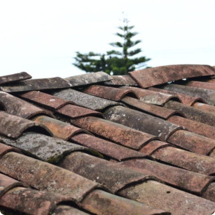 old, weathered tile roof